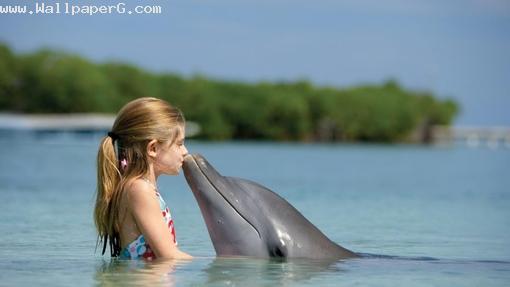 Dolphin and the girl