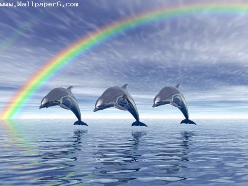 Dolphin and rainbows