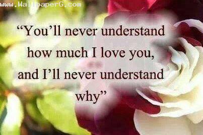 You will never understand