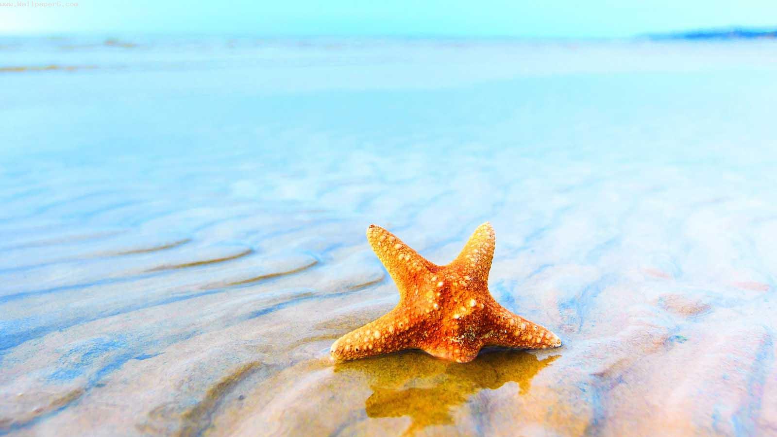 Star buried in sea