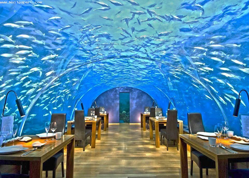 Ithaa in maldives
