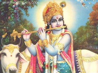 Krishna(3)