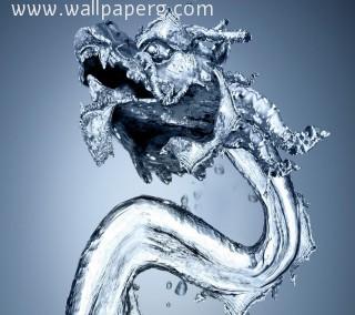 Water dragon