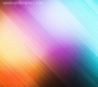 Abstract(2)