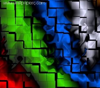 Abstract(3)