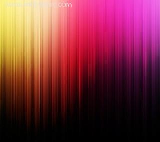 Abstract(9)