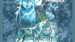 Blue wolf