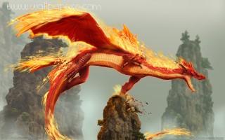 Fire dragon