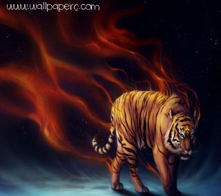 Fire tiger hd