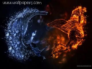 Fire and water elemental birds wallpaper backgroun