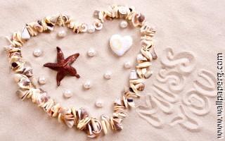 Seashell heart