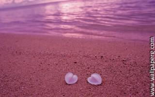 Sunset at beach