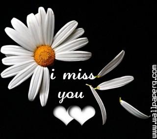 I miss you(5)(1)