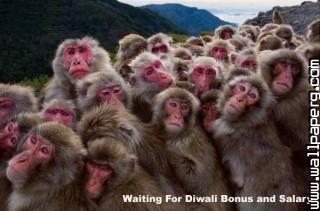 Funny diwali greeting