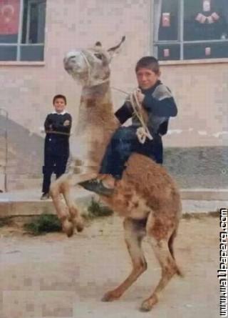 Ride like a boss