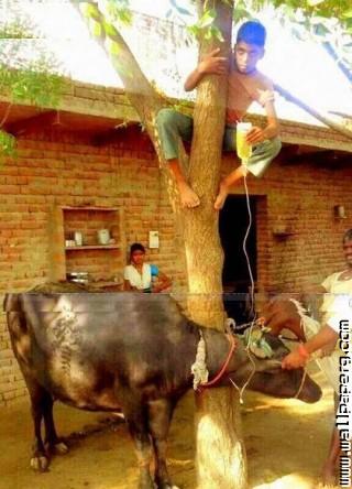 Village life of funny india