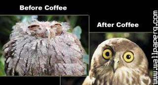 Coffee jokes funny photo