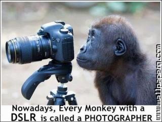 Funny photography joke
