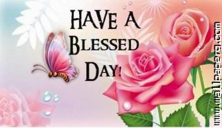 Have a blessed day