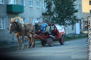 Mera sultan horse car funny