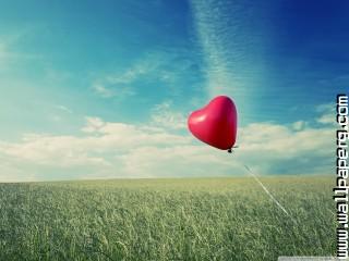 Alone heart flying wallpaper