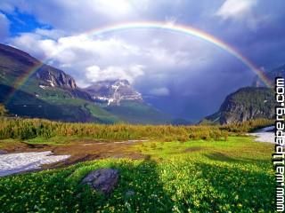 After the summer rain