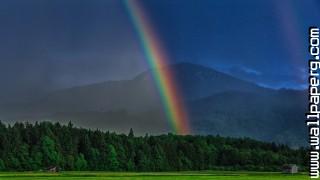 Rainbow in a dark bavarian forest