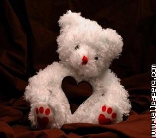 Cute amor teddy