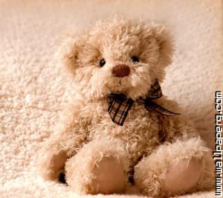Cute amor teddy love