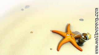 Funny starfish