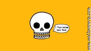 Funny minimalistic skulls text awesome wallpaper