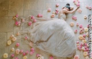 Dreamy bride