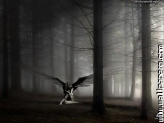 Gothic fallen angel dark forest wallpaper