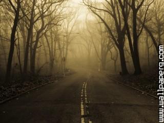 Mysterious road