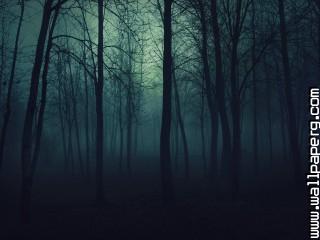 Gothic forest