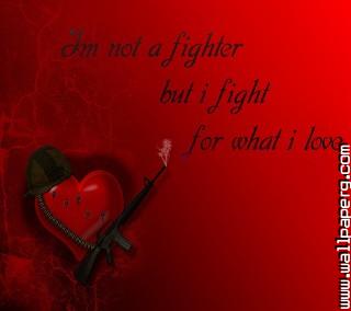 Fighter