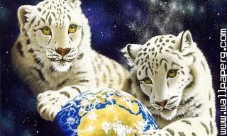Young animals 9