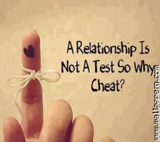 No cheat