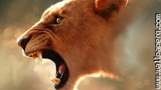 Animals feline lions wild awesome wallpaper