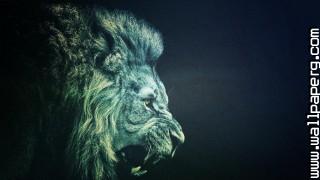 Animals lions wild animals awesome wallpaper