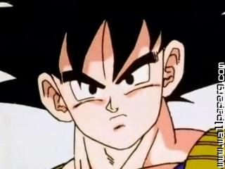 Dragon ball z closeup (22).jpg