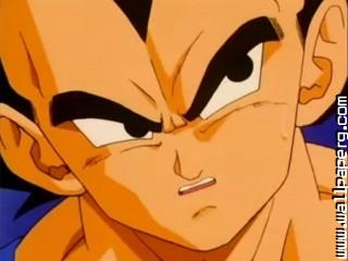 Dragon ball z closeup (29).jpg