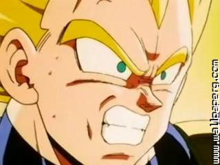 Dragon ball z closeup (3).jpg