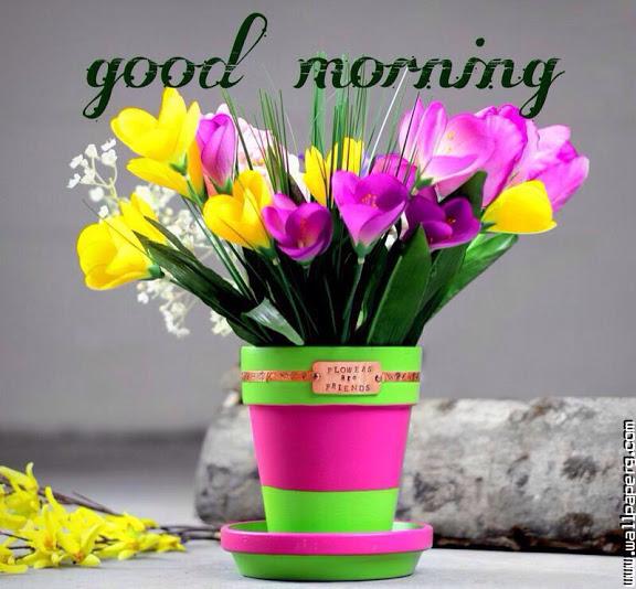 Download Flowery good morning 1 - Good morning wallpapers for your mobile  cell phone