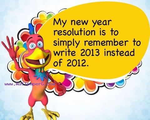 2013 new year resolution