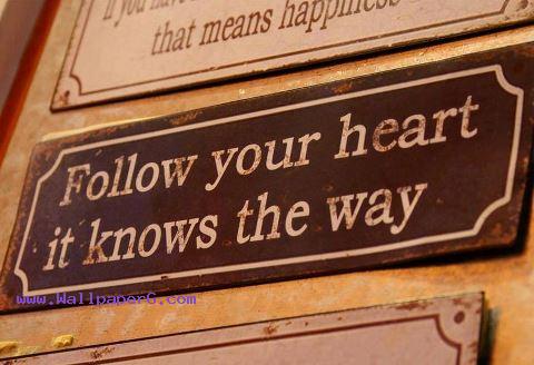 Follow your heart