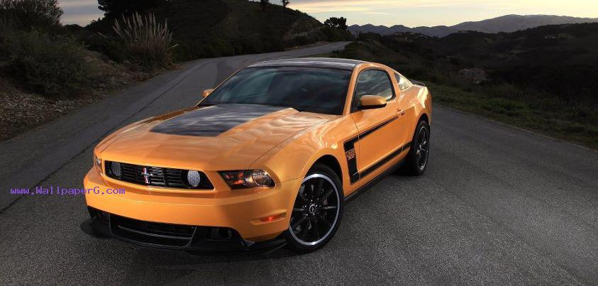 Ford mustang boss 302, 20