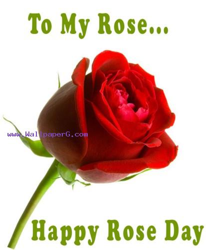 Download Happy rose day - Romantic wallpapers- For Mobile Phone Download Happy rose day - Romantic wallpapers- For Mobile Phone