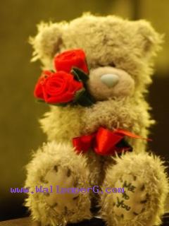 Teddy bear with red rose