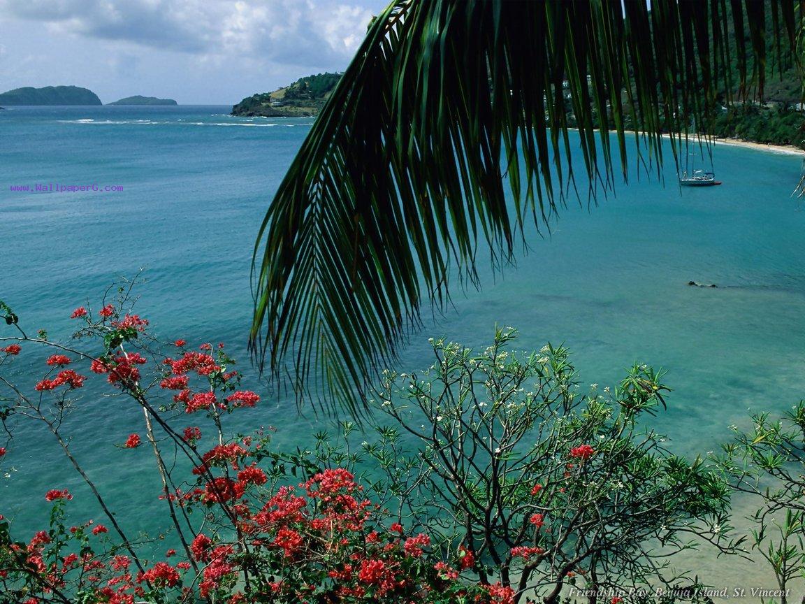 Friendship bay